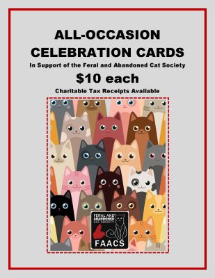 Celebration Card Table Poster_