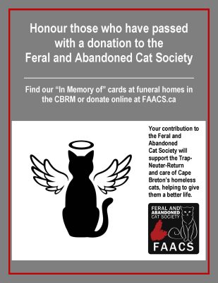 FAACS In Memory of Poster_3